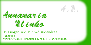 annamaria mlinko business card