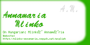 annamaria mlinko business card